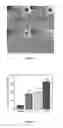 Fig. 08 - Composition, particulate materials and methods for making particulate materials