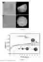 Fig. 12 - Composition, particulate materials and methods for making particulate materials