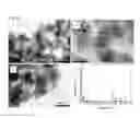 Fig. 04 - Fibrous carbon nanohorn aggregate and method for producing the same