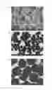Fig. 02 - Silica-based composite fine-particle dispersion, method for producing same, and polishing slurry including silica-based composite fine-particle dispersion