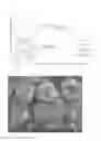Fig. 07 - Silica-based composite fine-particle dispersion, method for producing same, and polishing slurry including silica-based composite fine-particle dispersion