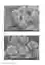 Fig. 08 - Silica-based composite fine-particle dispersion, method for producing same, and polishing slurry including silica-based composite fine-particle dispersion