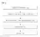 Fig. 02 - Aerogel composite and preparation method thereof