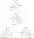Fig. 147 - Small molecule inhibitors of TRPA1