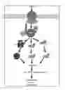 Fig. 01 - Substituted benzimidazole and substituted benzothiazole inhibitors of transforming growth factor-β kinase and methods of use thereof