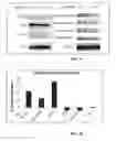 Fig. 07 - Substituted benzimidazole and substituted benzothiazole inhibitors of transforming growth factor-β kinase and methods of use thereof