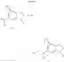Fig. 06 - Synthesis of chiral 2-(1H-indazol-6-yl)-spiro[cyclopropane-1,3′-indolin]-2′-ones