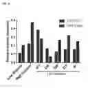 Fig. 07 - Bile acid receptor modulators and methods of use thereof