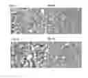 Fig. 08 - Bile acid receptor modulators and methods of use thereof