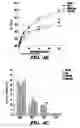 Fig. 22 - METHODS FOR THE TREATMENT AND PREVENTION OF INFLAMMATORY DISEASES