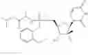 Fig. 136 - HCV polymerase inhibitors