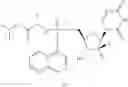 Fig. 152 - HCV polymerase inhibitors