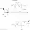 Fig. 55 - HCV polymerase inhibitors