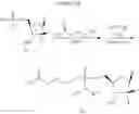 Fig. 69 - HCV polymerase inhibitors