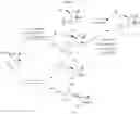 Fig. 71 - HCV polymerase inhibitors