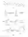 Fig. 02 - Cytidine derivative dimers and applications thereof