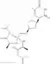 Fig. 52 - Antiviral compounds, a process for their preparation, and their use for treating viral infections