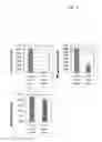 Fig. 04 - USE OF DEXTRAN SULFATE TO ENHANCE PROTEIN A  AFFINITY CHROMATOGRAPHY
