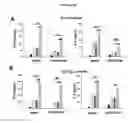 Fig. 06 - Immune modulator for immunotherapy and vaccine formulation