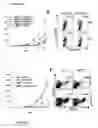 Fig. 09 - Immune modulator for immunotherapy and vaccine formulation