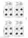 Fig. 03 - NUCLEIC ACID CONSTRUCT FOR EXPRESSING MORE THAN ONE CHIMERIC ANTIGEN RECEPTOR