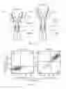 Fig. 05 - NUCLEIC ACID CONSTRUCT FOR EXPRESSING MORE THAN ONE CHIMERIC ANTIGEN RECEPTOR