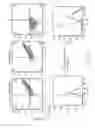 Fig. 16 - NUCLEIC ACID CONSTRUCT FOR EXPRESSING MORE THAN ONE CHIMERIC ANTIGEN RECEPTOR