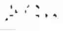Fig. 06 - ALBUMIN VARIANTS