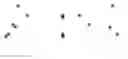 Fig. 08 - ALBUMIN VARIANTS