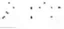 Fig. 09 - ALBUMIN VARIANTS