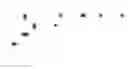 Fig. 22 - ALBUMIN VARIANTS