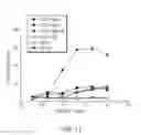 Fig. 16 - Anti-CD47 antibodies and methods of use