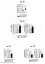 Fig. 06 - Reducing systemic regulatory T cell levels or activity for treatment of alzheimer's disease