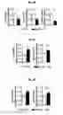Fig. 09 - Reducing systemic regulatory T cell levels or activity for treatment of alzheimer's disease