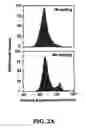 Fig. 06 - METHODS AND COMPOSITIONS FOR USING MHC CLASS II INVARIANT CHAIN POLYPEPTIDES AS A RECEPTOR FOR MACROPHAGE MIGRATION INHIBITORY FACTOR