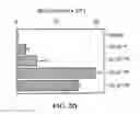 Fig. 09 - METHODS AND COMPOSITIONS FOR USING MHC CLASS II INVARIANT CHAIN POLYPEPTIDES AS A RECEPTOR FOR MACROPHAGE MIGRATION INHIBITORY FACTOR