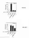 Fig. 12 - METHODS AND COMPOSITIONS FOR USING MHC CLASS II INVARIANT CHAIN POLYPEPTIDES AS A RECEPTOR FOR MACROPHAGE MIGRATION INHIBITORY FACTOR