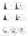 Fig. 03 - TIME AND SPACE ADJUSTABLE SYSTEM FOR INHIBITING PATHOLOGICAL TARGET CELLS
