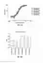 Fig. 45 - Anti-MCAM antibodies and associated methods of use