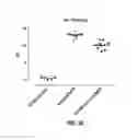 Fig. 46 - Anti-MCAM antibodies and associated methods of use