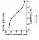 Fig. 17 - METHODS FOR REDUCING PROTEINURIA IN A HUMAN SUBJECT SUFFERING FROM IMMUNOGLOBULIN A NEPHROPATHY