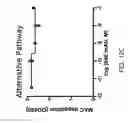 Fig. 19 - METHODS FOR REDUCING PROTEINURIA IN A HUMAN SUBJECT SUFFERING FROM IMMUNOGLOBULIN A NEPHROPATHY