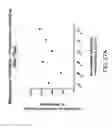 Fig. 35 - METHODS FOR REDUCING PROTEINURIA IN A HUMAN SUBJECT SUFFERING FROM IMMUNOGLOBULIN A NEPHROPATHY