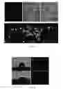 Fig. 06 - Biodegradable side chain liquid crystal elastomers: smart responsive scaffolds (SRS) for tissue regeneration