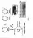 Fig. 04 - 3D-printing of ultra-high refractive index polymers