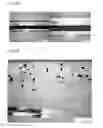 Fig. 02 - Method for producing fibre composites from amorphous, chemically modified polymers