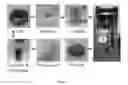 Fig. 02 - Processes of increasing crystallinity alignment of protein films and products thereof