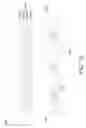Fig. 07 - Fluoride phosphor including sheet-like crystal and manufacturing method and application thereof