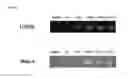 Fig. 05 - Multi-stage purification method and apparatus of extracellular vesicles using aqueous solution two-phase system