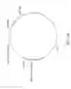 Fig. 06 - Proline auxotrophs